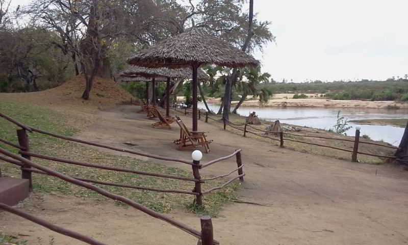 Selous Mbuyu