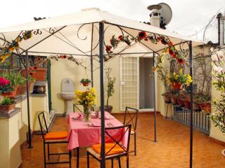Piazza Navona Panoramic Terrace - One Bedroom